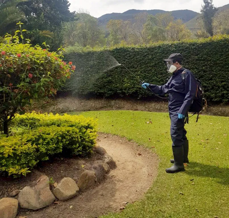Técnico fumigando el jardín y los setos de una casa
