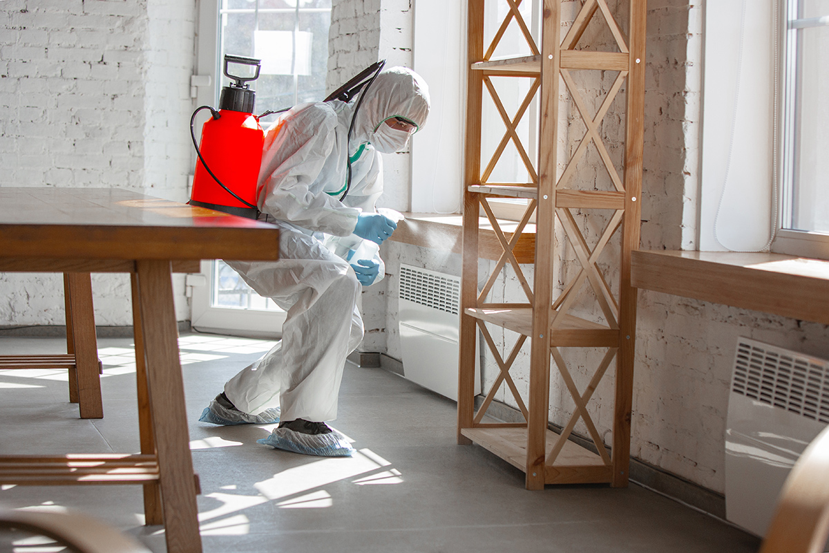 Técnico de Fumigaciones El Triunfo fumigando cucarachas en una cocina en Bogotá