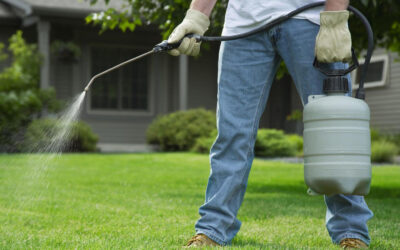 Fumigación de plagas y cucarachas bogotá, control de ratas e insectos