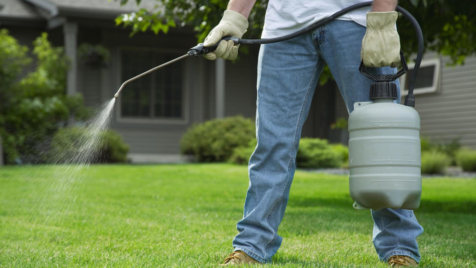 ᐈ Fumigación de cucarachas Bogotá ➜ control de e insectos