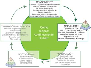 manejo integral plagas